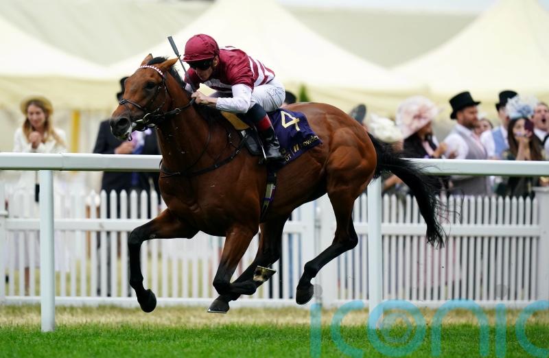 Saudi Cup meeting one of the options for Missed The Cut