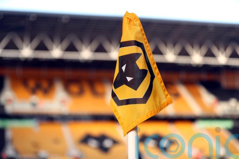 Wolves agree deal to sign Flamengo midfielder Joao Gomes