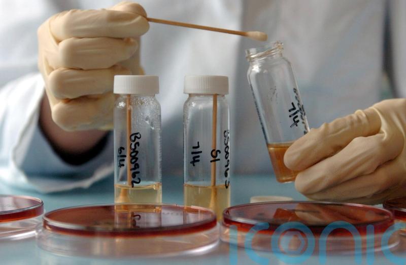 Probe after salmonella found in eight poultry flocks