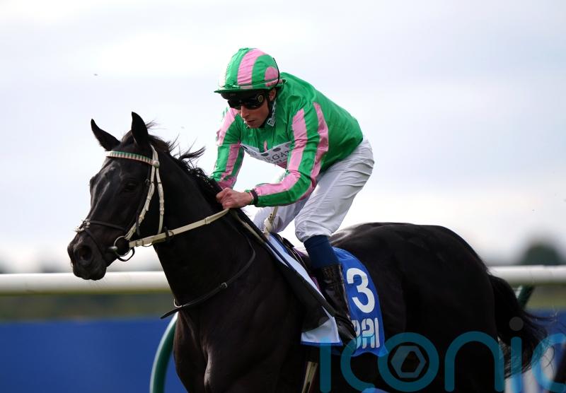 Hills planning dual assault on Turf Sprint prize