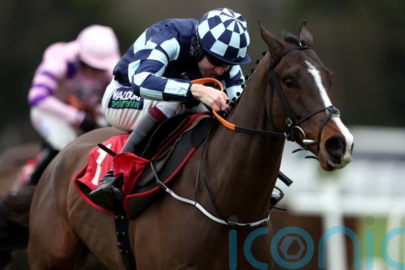 Chasing Fire has sparked Supreme ambitions for Murphy