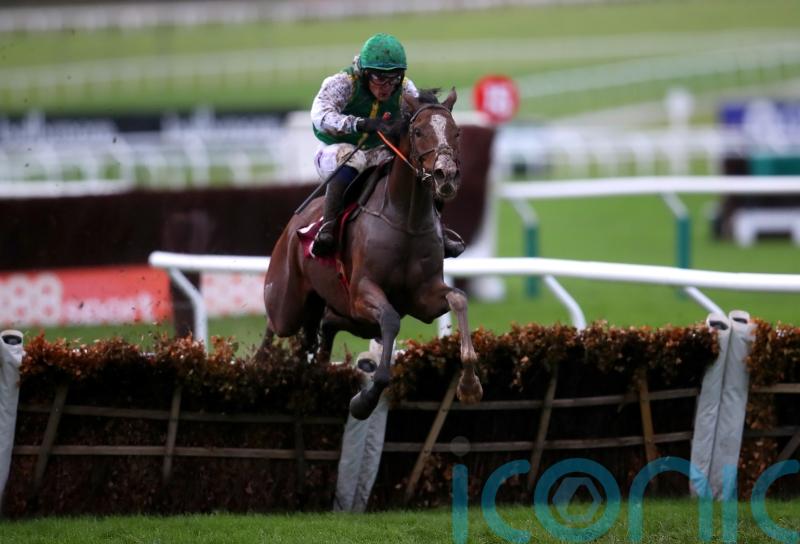 John McConnell readying strong Cheltenham team