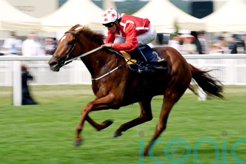 Saffron Beach retired after scope ends Saudi Cup hopes