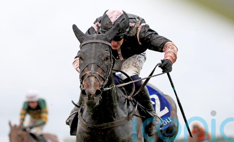 Brandy back in action at Punchestown