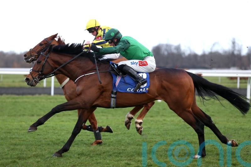 Nusret boosts the claims of Irish-trained juveniles ahead of Cheltenham