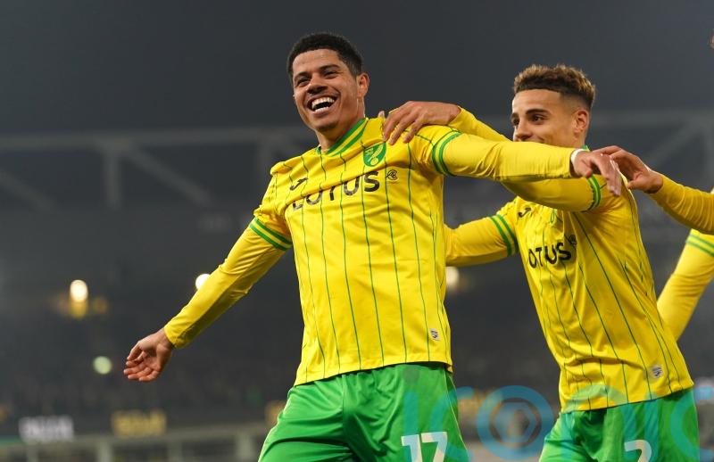 Brilliant Brazilians Gabriel Sara and Marquinhos seal Norwich win over Cardiff