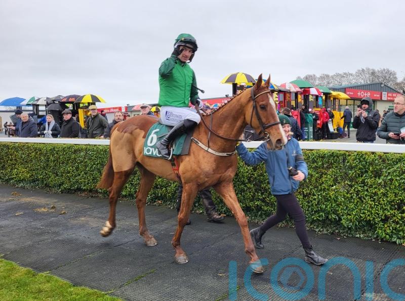 Patrick Mullins facing tough Champion Bumper choice