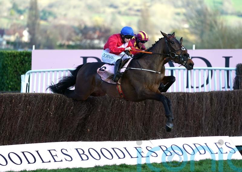 De Bromhead&rsquo;s Gold Cup contenders thriving as big day looms