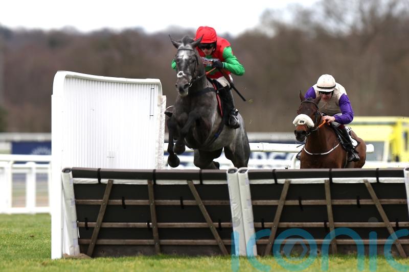 Zoffany Bay giving Fahey chance of Imperial Cup defence