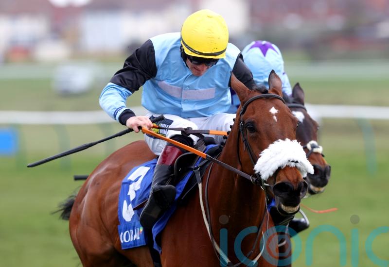 Mulholland sweet on Milkwood&rsquo;s County chance