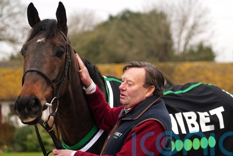 Constitution Hill and Henderson the people&rsquo;s champs, says Henrietta Knight