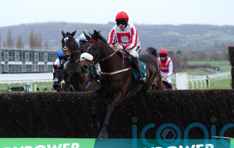 Neville favouring Festival novice option for The Real Whacker