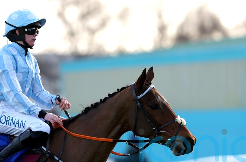 Blackmore confident Honeysuckle can still make her presence felt