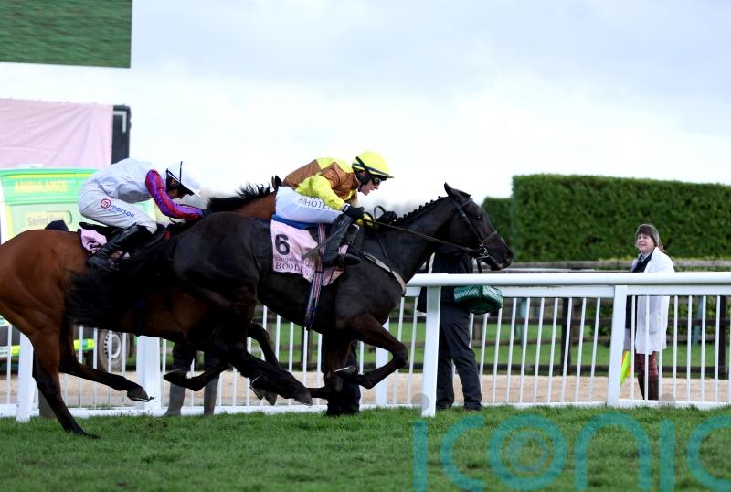 Bravemansgame will be back next year, says proud Nicholls