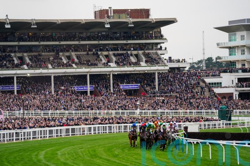 Fears of whip rules overshadowing Cheltenham prove unfounded