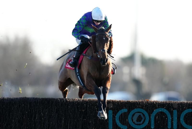 No obvious reason for Thyme Hill&rsquo;s Festival disappointment