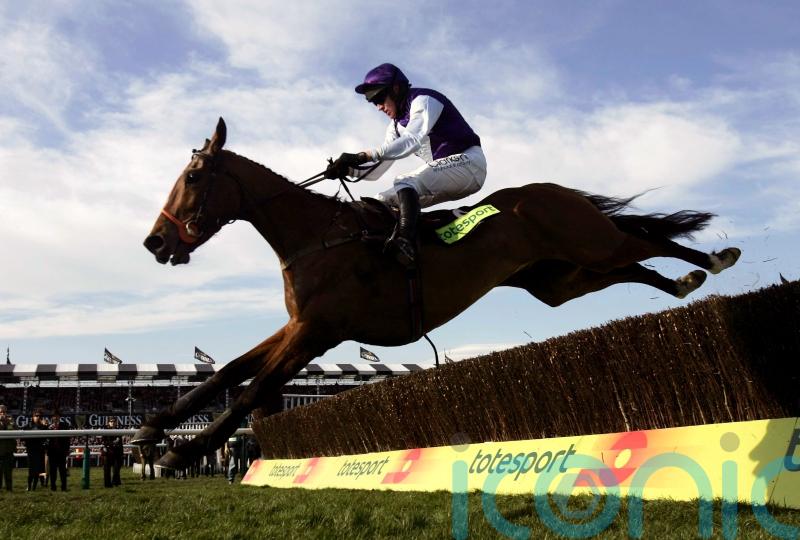 Tributes paid to Cheltenham Gold Cup hero Kicking King