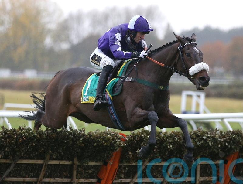 Lone Star proves apt winner of Lady Buttons heat for Phil Kirby