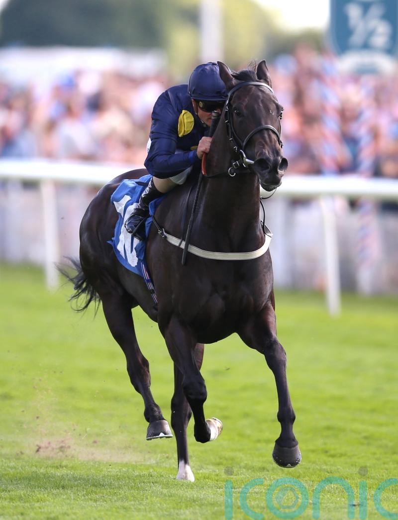 Tate &lsquo;not averse&rsquo; to stepping up in trip with Royal Aclaim