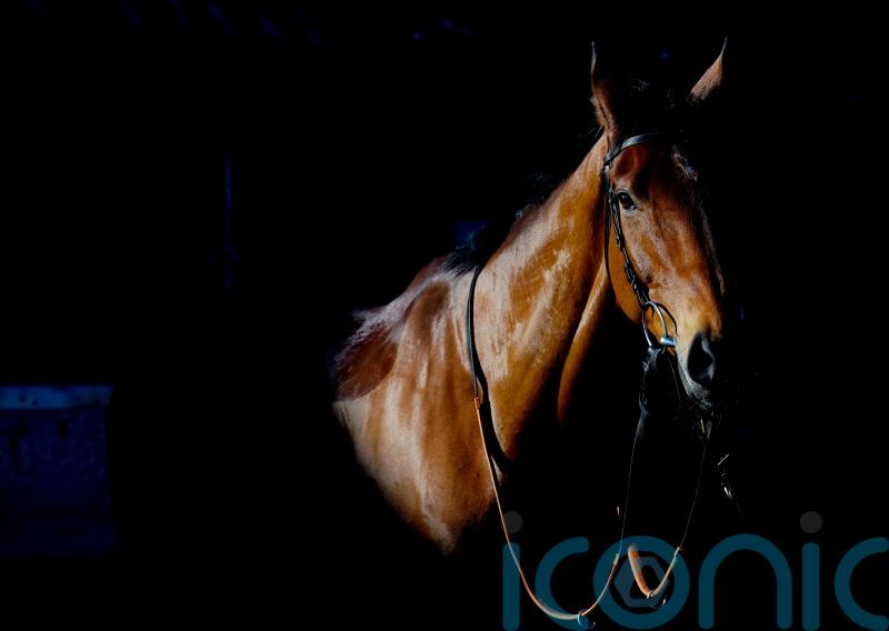 Dance &lsquo;incredibly proud&rsquo; of Bravemansgame&rsquo;s Cheltenham defeat