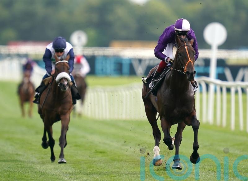 Amo Racing team looking to Mojo to be staying Star