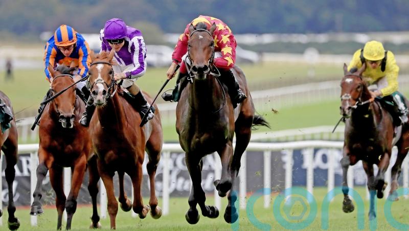 Al Riffa taking direct path to Irish Guineas date