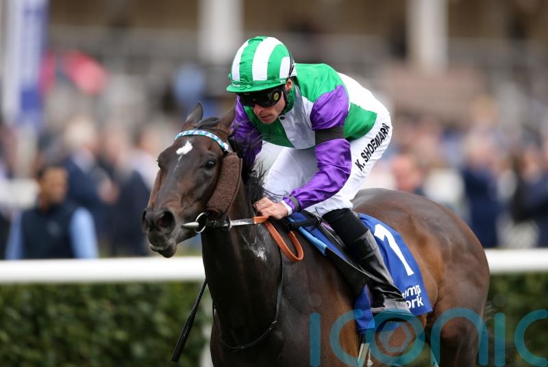 Vadream in the frame for swift return at Newcastle