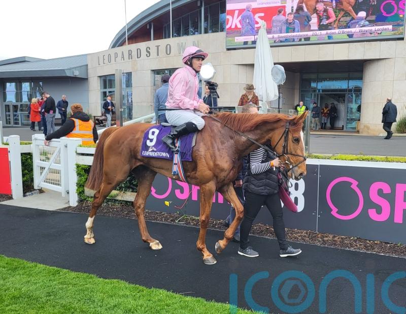 Savethelastdance shows off winning moves at Leopardstown