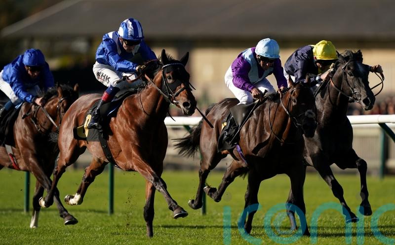 Arabian Storm geared up for Burradon test that could lead to Classic challenge