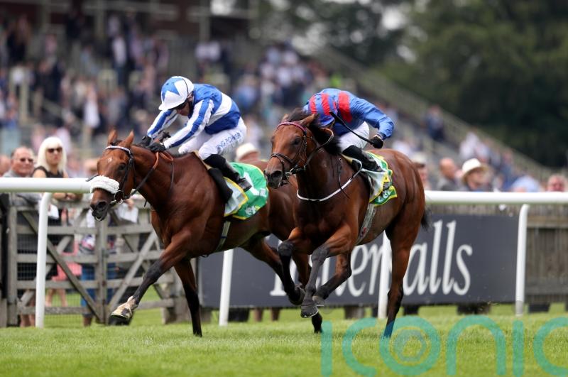 Haggas raises Australian satellite yard idea, as Dubai Honour wins again