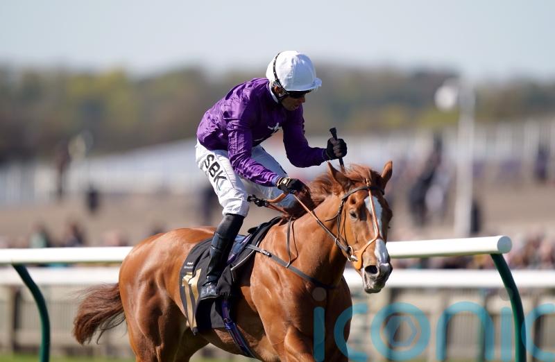 Mammas Girl motors to deeply impressive Neill Gwyn success