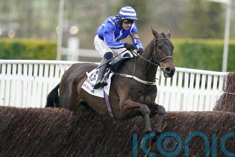 Energumene looking to double up at Punchestown