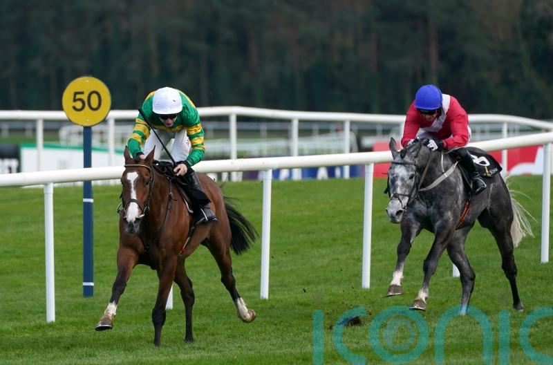 A Dream To Share does it again at Punchestown