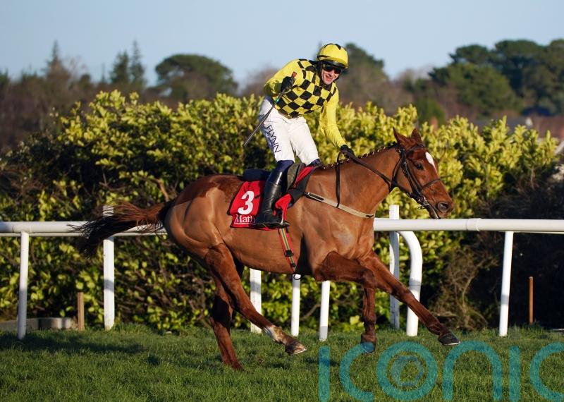 State Man &lsquo;the one to beat&rsquo; ahead of Champion test