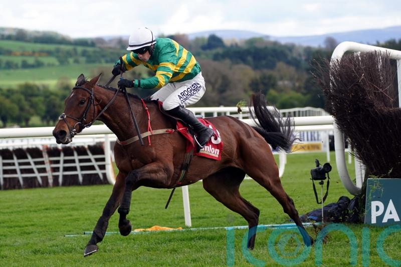 Impervious in a different league at Punchestown