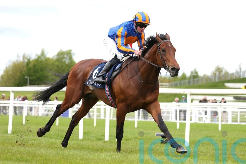 Paddington earns his crust in Tetrarch win