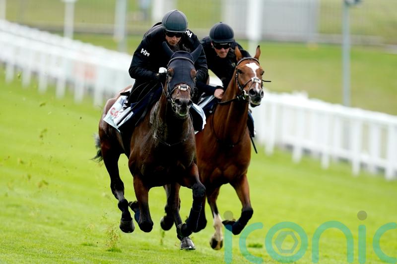 Crisfords hoping West can be best at Newmarket