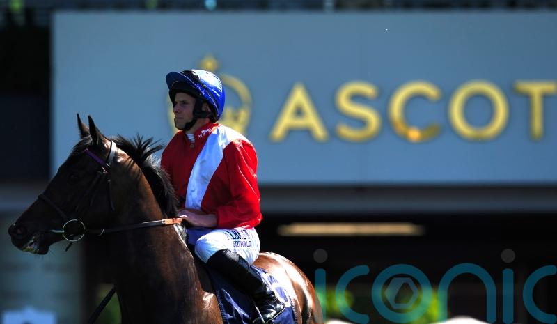 Twilight takes Palace test after lengthy absence