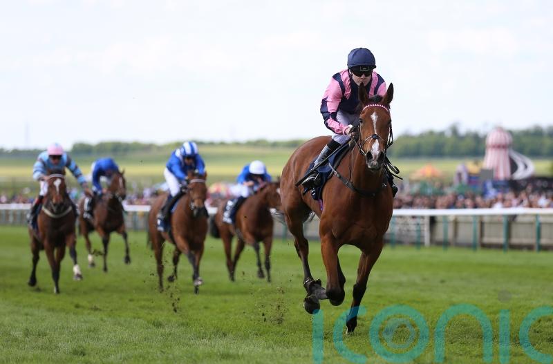 Via Sistina oozes class in Dahlia Stakes cruise