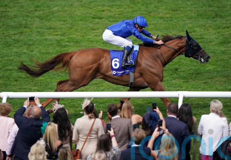 Globetrotting Yibir on course for Newbury comeback