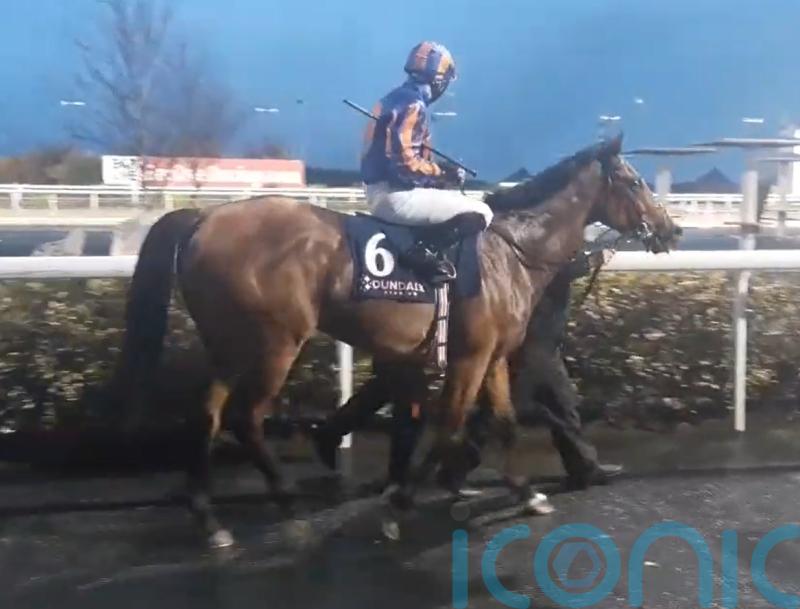 San Antonio stepping up for Dee Stakes assignment