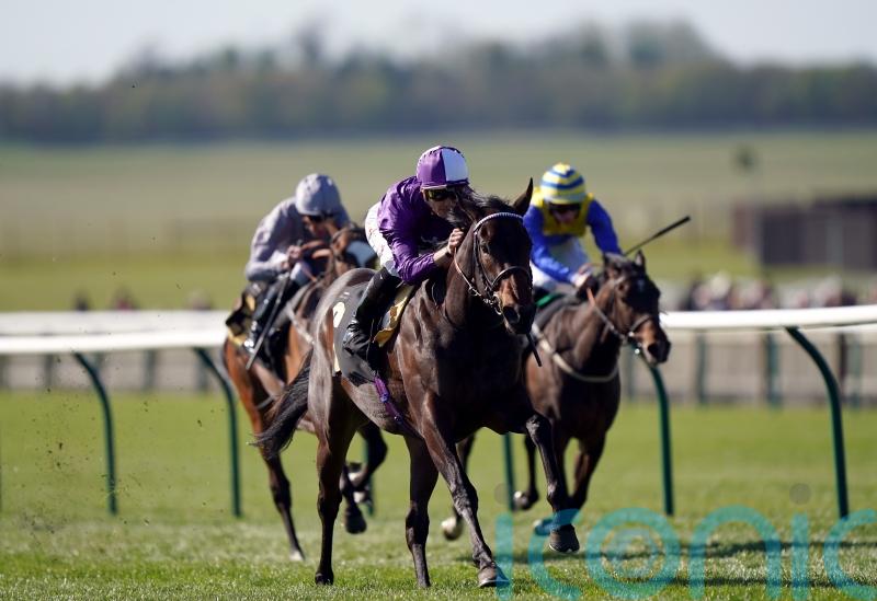 Persian Dreamer team deliberating Royal Ascot route