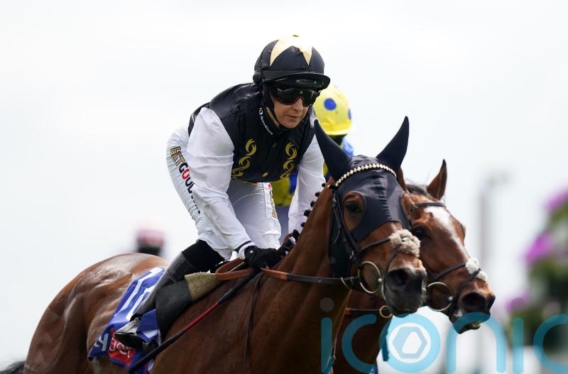 Scampi provides tasty York triumph for Turner