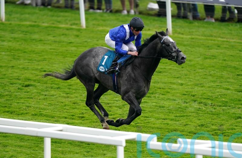 Mostabshir shows star quality in blitzing York rivals