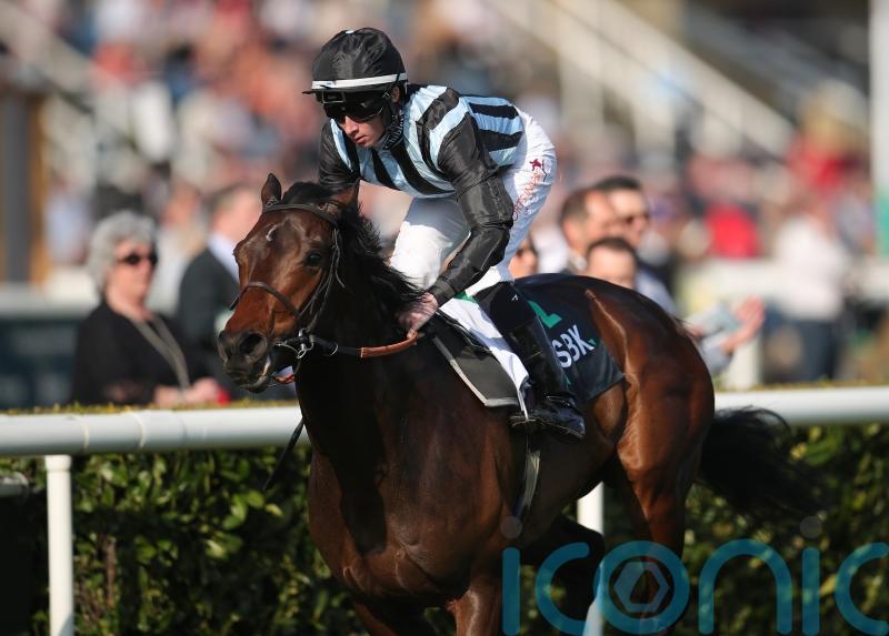 Chindit to get a second bite at Lockinge hero Modern Games