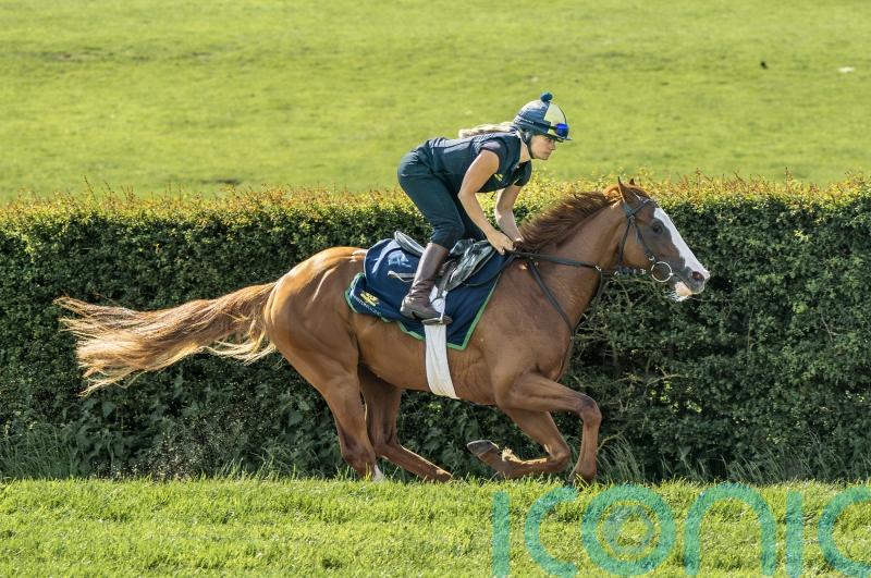 Charlie Johnston sure Dubai Mile can go the Derby distance