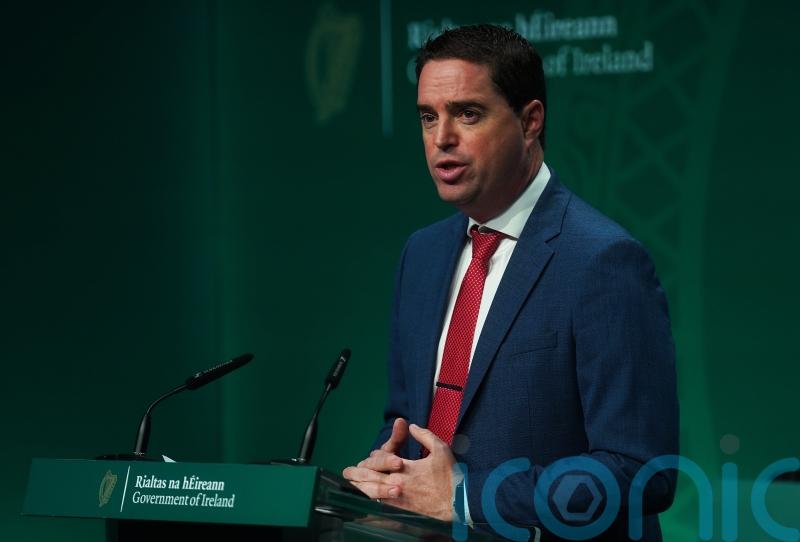 Fianna Fail &lsquo;not target audience&rsquo; for newspaper budget article, says minister