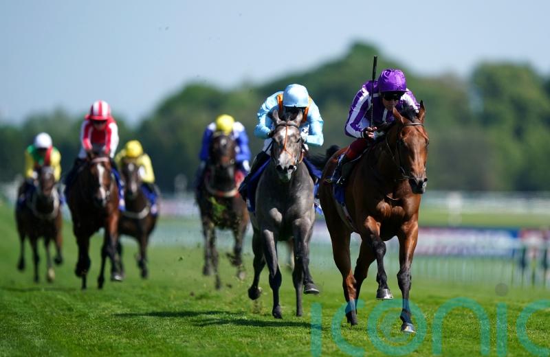 Middleham Park keen for another crack at Little Big Bear with Shouldvebeenaring