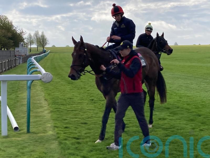 The Astrologist&rsquo;s team predicting big Haydock effort