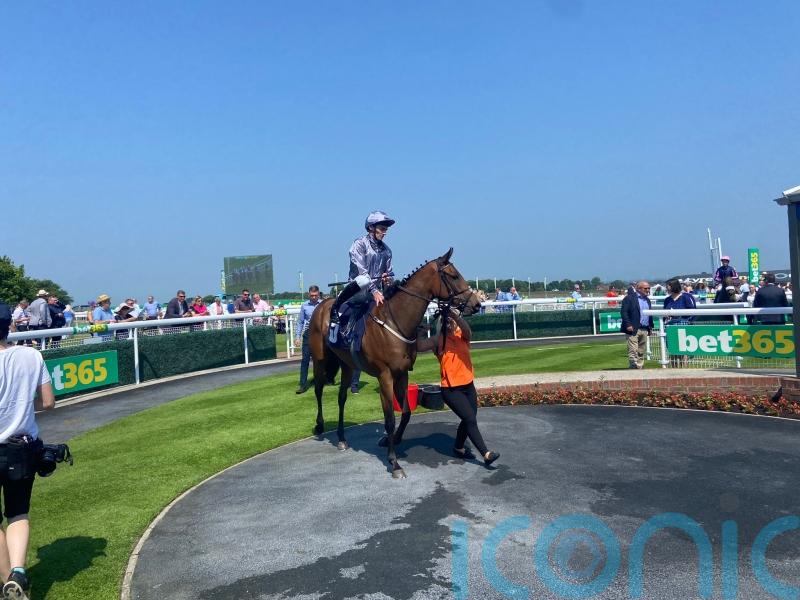 Midnight Affair strikes Hilary Needler gold at Beverley